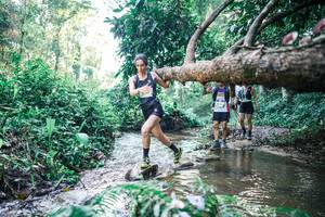 BIB: 
                            <button type="button" onclick="openModal(25433231)" class="btn btn-primary btn-sm float-right btn-popup" data-toggle="modal" data-target=".modal-high-quality">
                        <i class="fas fa-shopping-cart"></i> Add to Cart
                    </button>
                                            <button type="button" onclick="isThisMe(25433231, true)" class="btn btn-success btn-sm float-right btn-popup btn-isme hidden" data-toggle="tooltip" data-placement="bottom" title="นี่คือรูปของคุณใช่ไหม คลิกที่นี่เพื่อเอาเข้าอัลบั้ม">
                        <i class="fas fa-plus"></i> Add to album
                    </button>
                    <button type="button" onclick="isThisMe(25433231, false)" class="btn btn-warning btn-sm float-right btn-popup btn-isnotme hidden">
                        <i class="fas fa-ban"></i> Remove from album
                    </button>